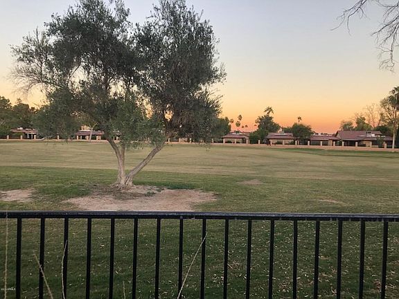 Backyard view 1