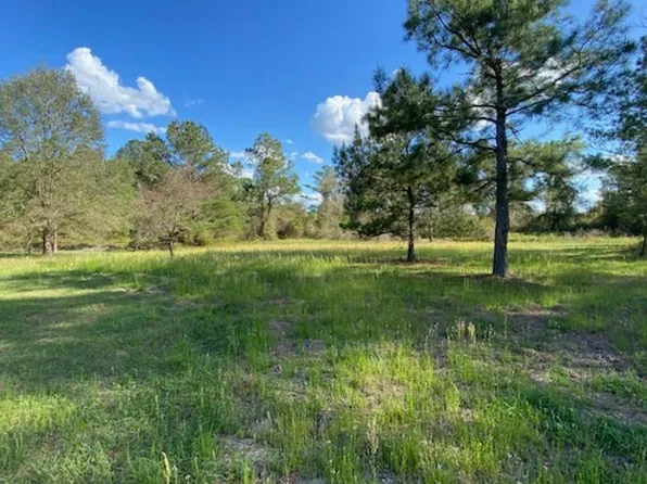 0 Us Highway 129 S, Live Oak, FL 32060
