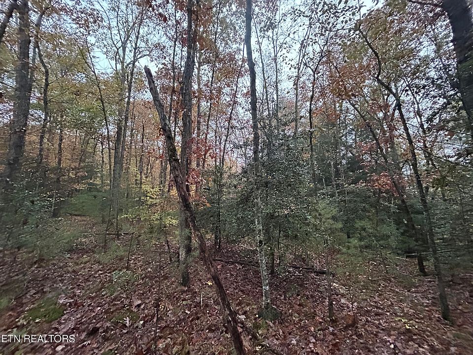 2nd image of Graveyard Rd #E/o