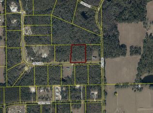 166th Pl, Wellborn, FL 32094