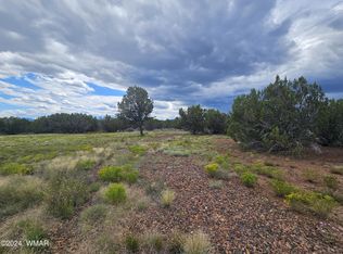 20 County Road 3193, Vernon, AZ 85940