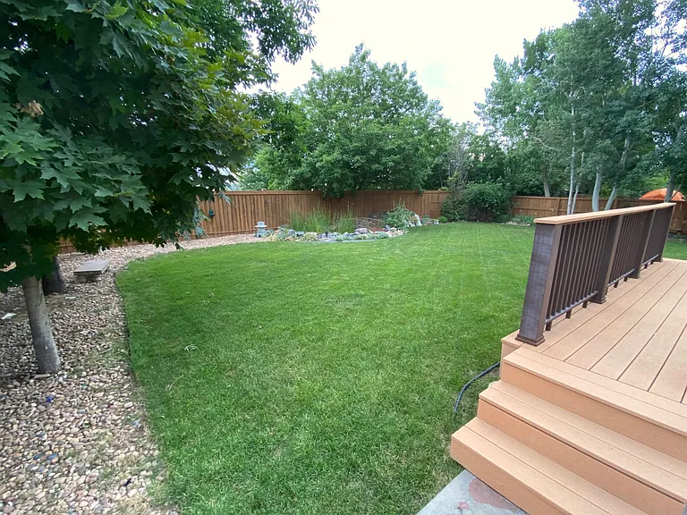 Back yard