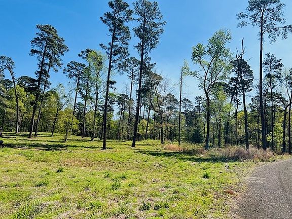 3rd image of 155 Crowell Ln