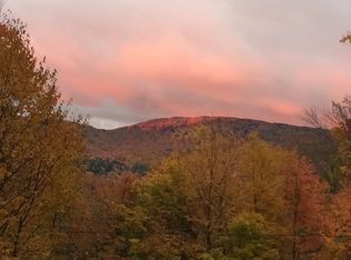769 Straight Road, Mount Holly, VT 05730