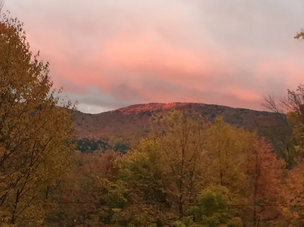 769 Straight Road, Mount Holly, VT 05730