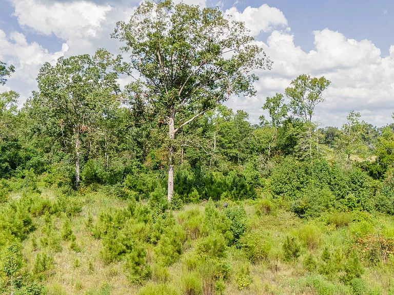 17171 E FM 1097 Rd — Photo 15