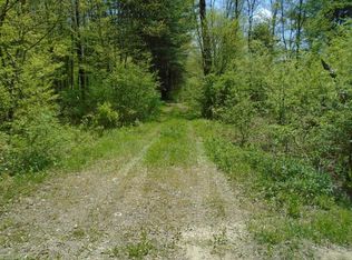 0 Willet Line Rd, Mc Donough, NY 13801