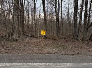 0 Skinner Rd Lot 4, Richfield Springs, NY 13439