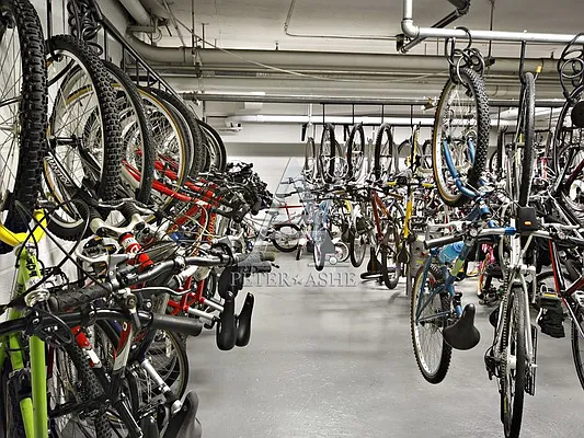 Rented by Peter Ashe | media 19