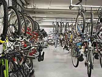 Rented by Peter Ashe