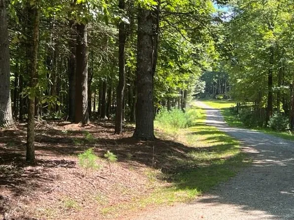 Tbd Cove Ln, Woodlawn, VA 24381