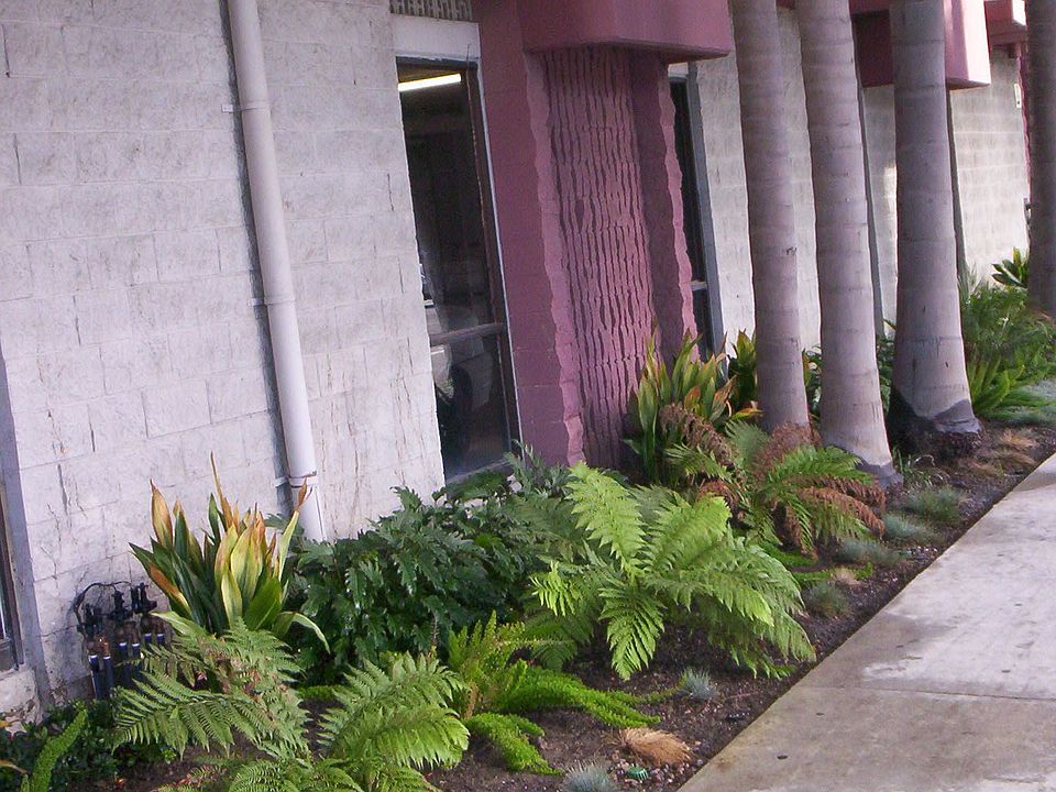 1st image of 225 W 6th St APT 503