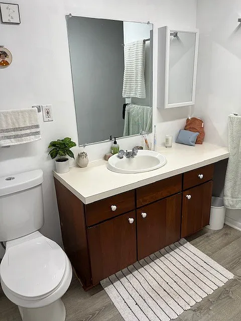 1 bed, 900 sqft, $1,590 — Photo 3
