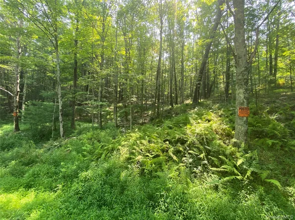 S Road Mamakating, Wurtsboro, NY 12790
