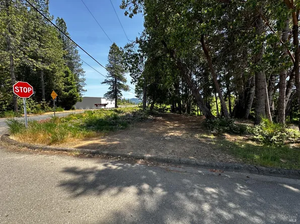 25895 Madrone Drive, Willits, CA 95490
