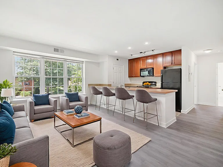 Modern Kitchen and Living Spaces