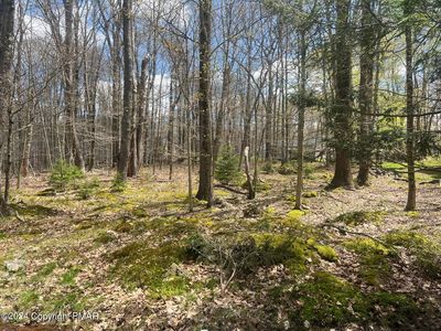 Owassa Dr, Pocono Lake, PA, 18347