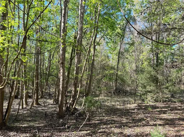 SW Drew Feagle Ave Lot 11, Fort White, FL 32038