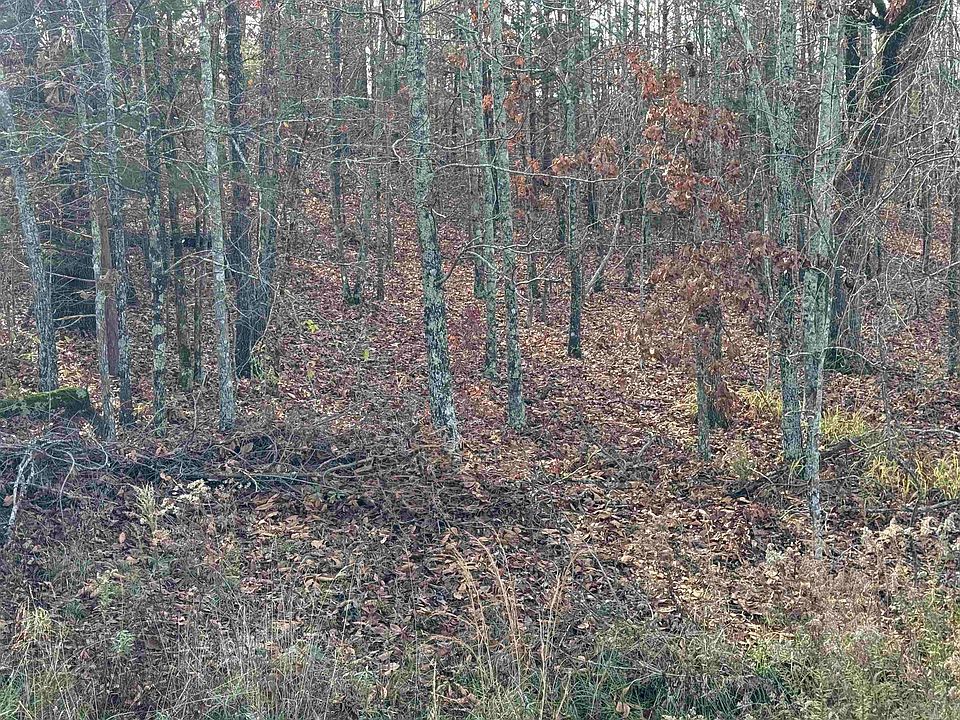 2nd image of TRACT 94 95 Vernon Court Rd