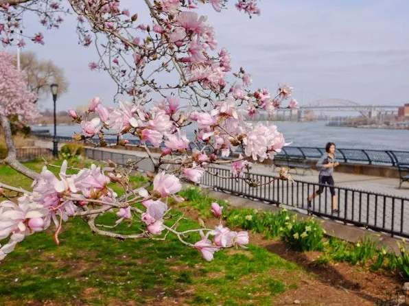 85 East End Avenue image 18 of 28