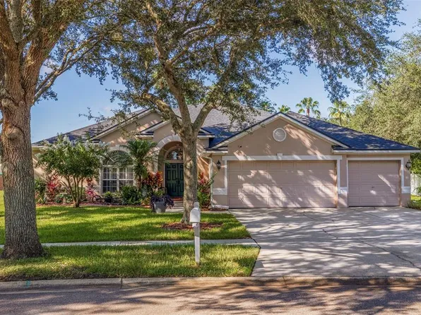 12307 Breton Oak Ln, Riverview, FL 33569