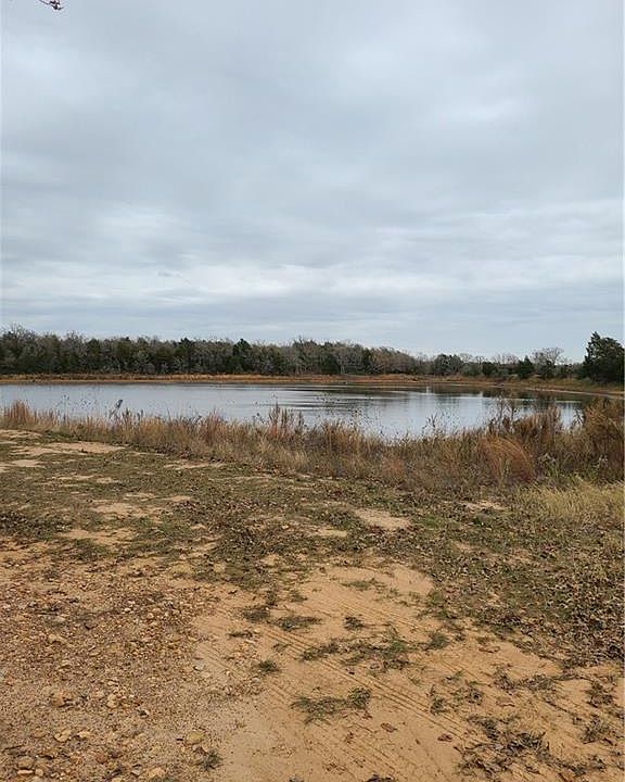 2nd image of 103 Lakeshore Dr