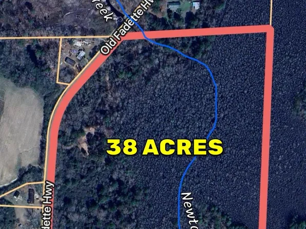 Old Fadette Rd, Slocomb, AL 36375