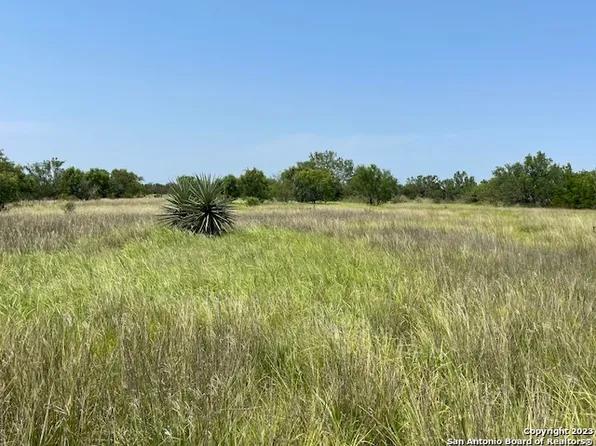 TBD FM 99, Calliham, TX 78007