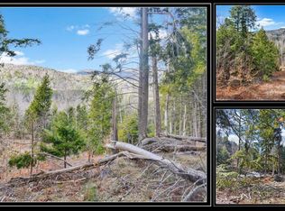 L17 Mountain Meadows Rd, Pottersville, NY 12860