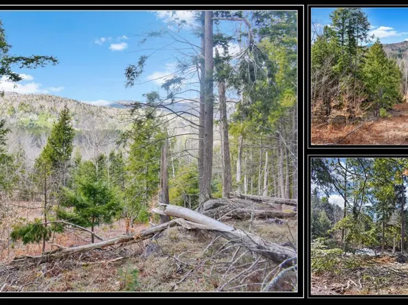 L17 Mountain Meadows Road, Adirondack, NY 12860