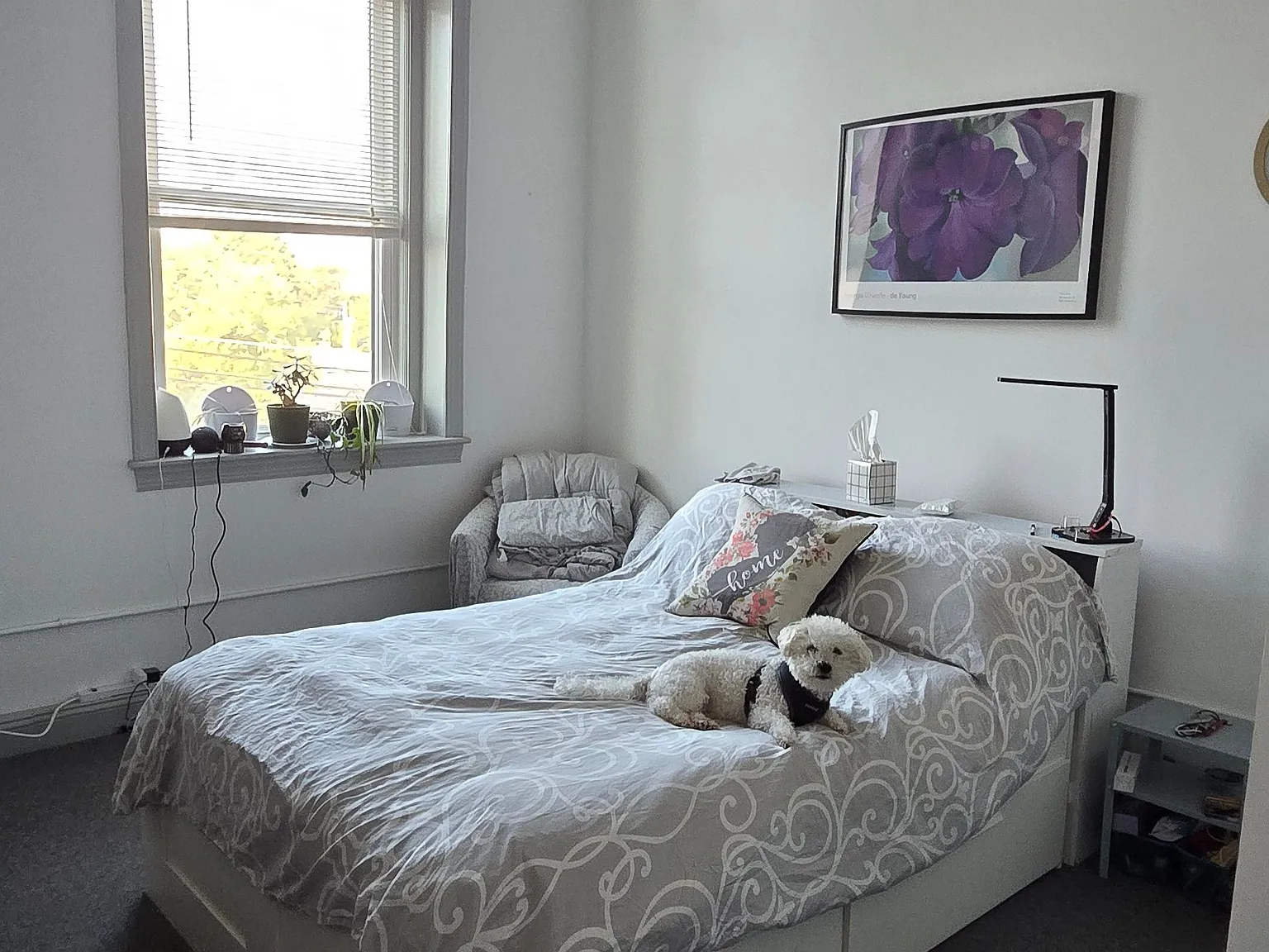 2 bed, 1200 sqft, $1,795 — Photo 2