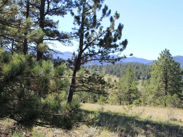 TRACT Three Patriot Cir, Westcliffe, CO 81252