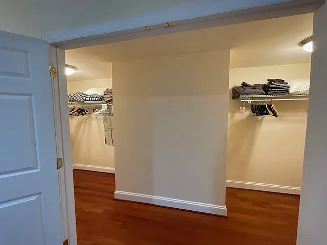 Large walk-in closet.