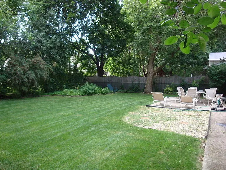 Back Yard