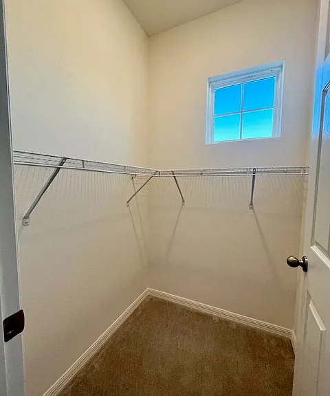 7202 Canali Way — Photo 28