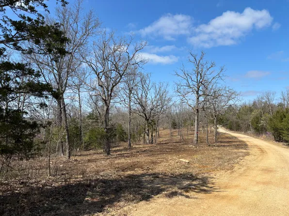 731 County Road 101, Gainesville, MO 65655