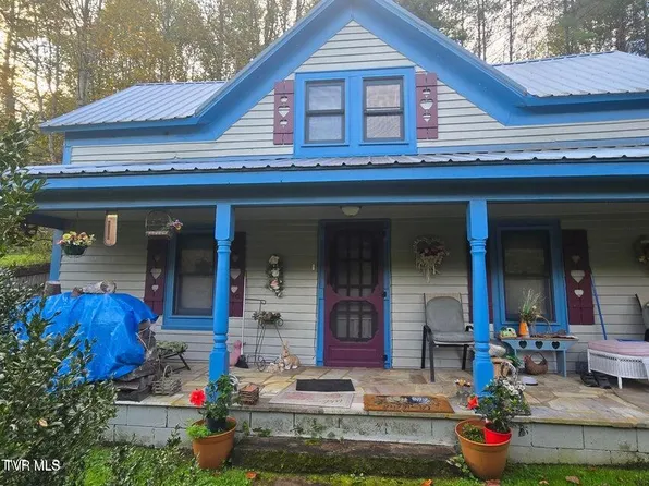 123 McMahan Gibbs Rd, Roan Mountain, TN 37687