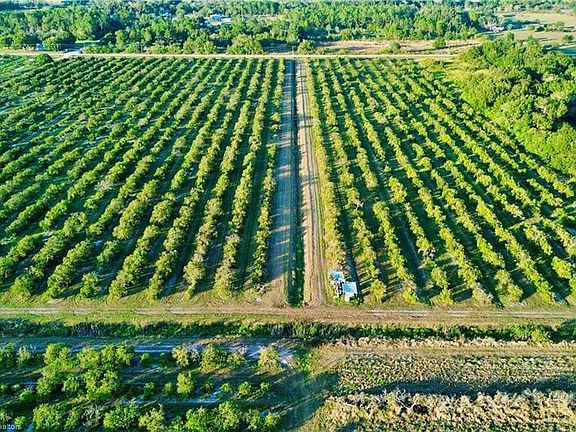 5th image of 2233 Hicks Rd