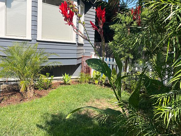 3rd image of 619 Healdsburg Ave