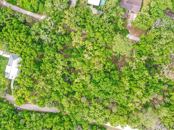 4th image of 8 N Hammock Preserve Ln