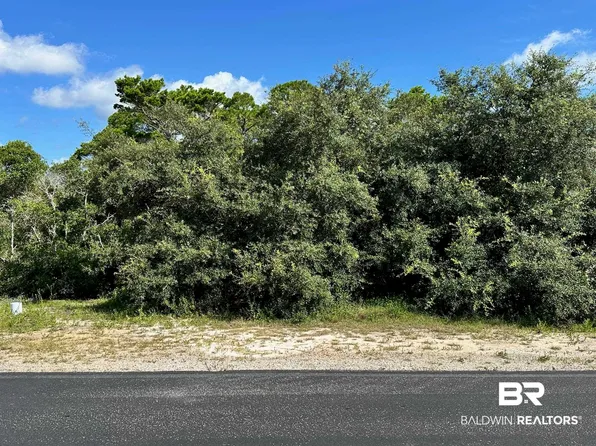 0 Bayou Ct, Orange Beach, AL 36561