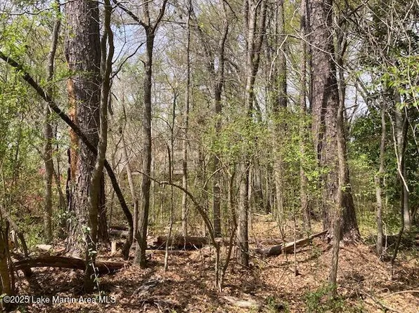 Maplewood Lane Ext, Alexander City, AL 35010