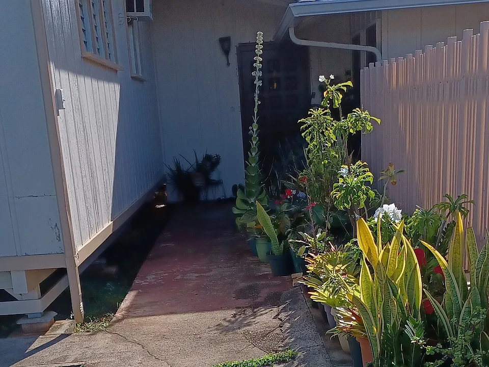 Palekaiko St