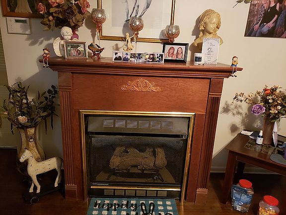 Gas fireplace