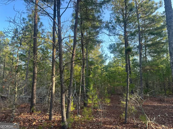 Horne Rd, Roberta, GA 31078