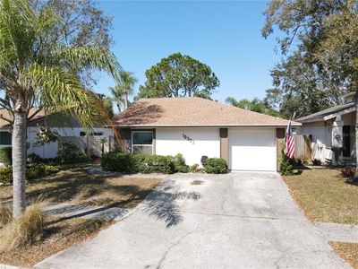 10303 Chadbourne Dr, Tampa, FL, 33624