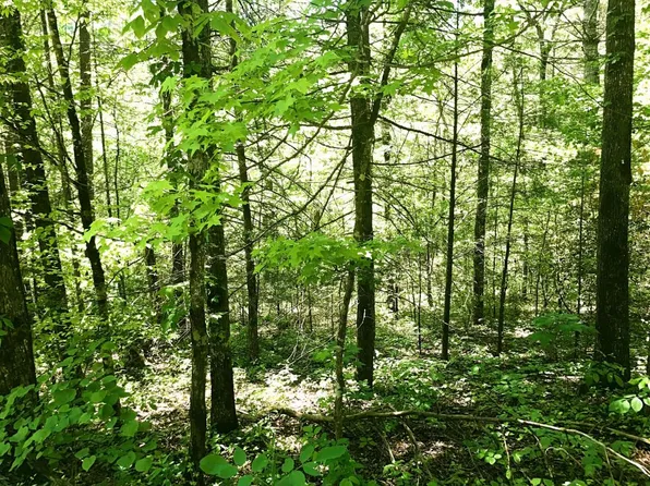 Chilhowee Loop, Walland, TN 37886