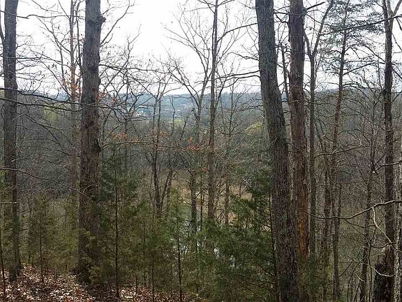 2nd image of Jack Potts Dr Lot 20