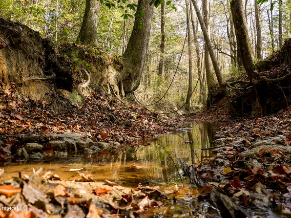 Les Harwell Rd, Collinsville, MS 39325