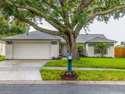 1719 Bell Ranch St, Brandon, FL, 33511